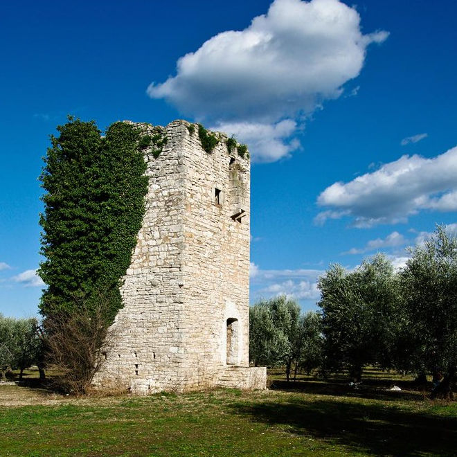 Torre del Gallo, Molfetta (BA)